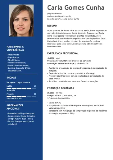 Modelo de currículo por profissão
