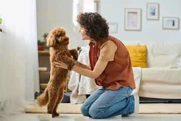 Currículo de cuidador de pets: modelo e guia