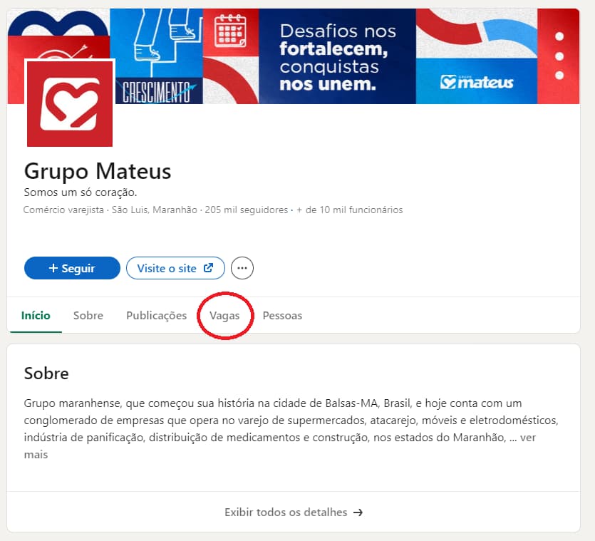 Perfil do grupo Mateus no LinkedIn