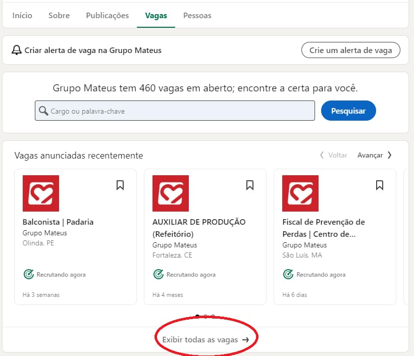 Vagas disponiveis no Grupo Mateus no LinkedIn.