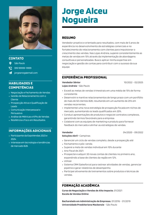 exemplo de currículo com perfil profissional