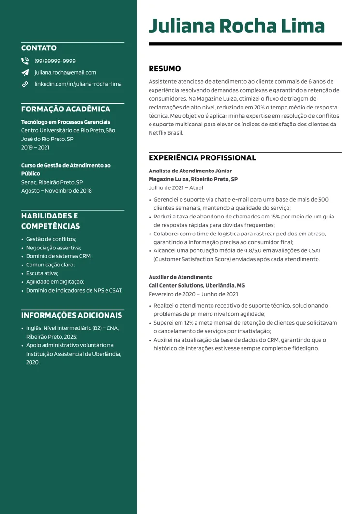 Modelo de currículo profissional do site para currículos