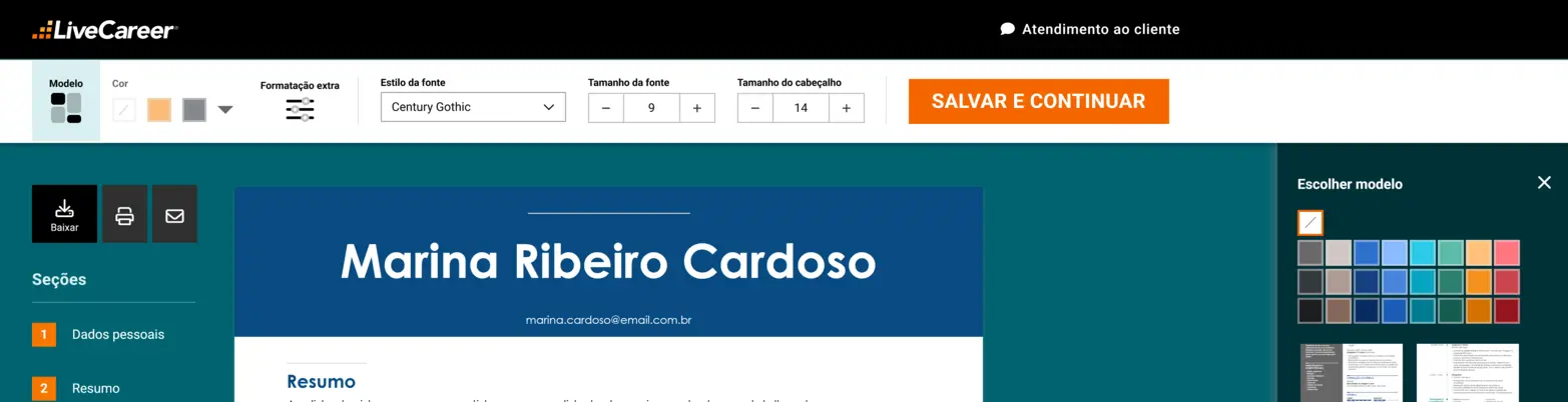 Opções de personalização do site para montar currículo da LiveCareer
